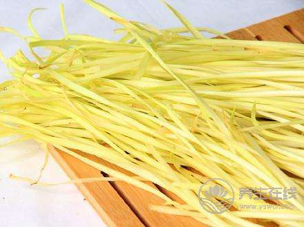 立春后溫中升陽,食用韭黃好時節 立春后溫中升陽,食用韭黃好時節
