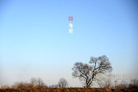 冬至養生吃什么好?