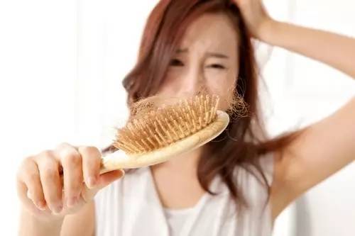 秋季吃什么防止掉發