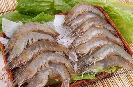 秋冬季吃什么海鮮好 八種海鮮美味營養