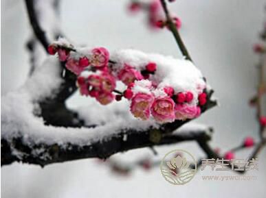 大雪節氣養生該注意什么? 大雪節氣養生該注意什么?