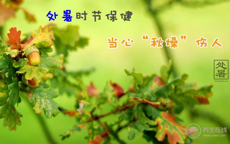 處暑吃什么食物  應該如何養生