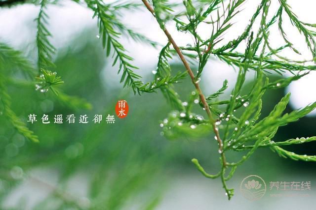 雨水——好雨知時節, 當春乃生發 雨水——好雨知時節, 當春乃生發