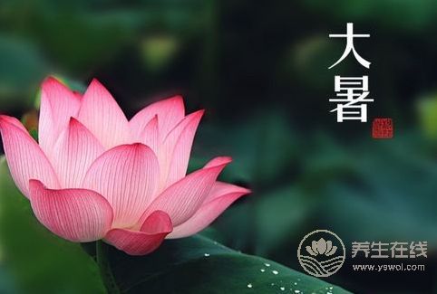 大暑習(xí)俗都有哪些？