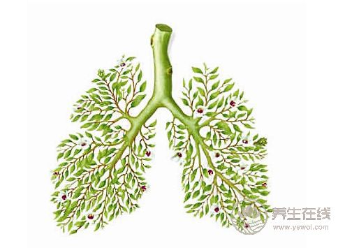秋季養肺,要做到3件事 秋季養肺,要做到3件事