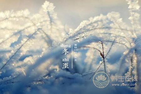 冬至養生吃什么好?
