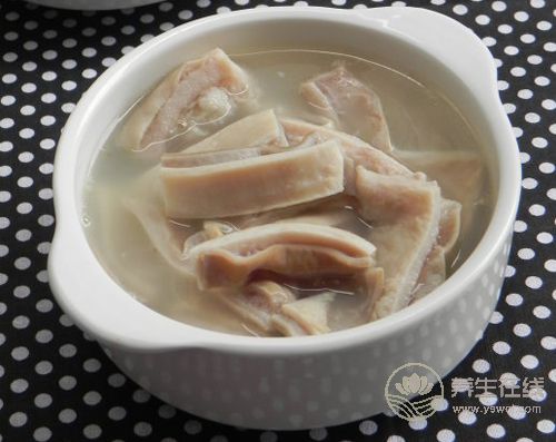 十胃病七胃寒 春季養胃要先暖胃