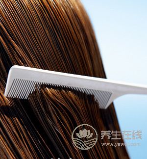 春天養生從“頭”開始,你的頭好好嗎？