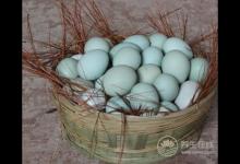 秋季多吃3類(lèi)食物提高免疫力