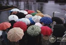 夏天多雨濕氣重怎么辦？教你快速祛濕法