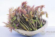春季養(yǎng)生哪家強，蔬菜水果來幫忙