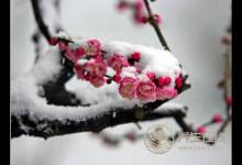 大雪節氣養生該注意什么？