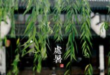 2018處暑時間_處暑是什么時候_吃什么養生_處暑習俗