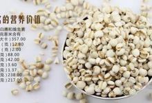 夏季會吃薏仁更養生，推薦幾種健康吃法