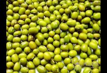 夏季養(yǎng)生，你不能錯過這6種“養(yǎng)生豆”！