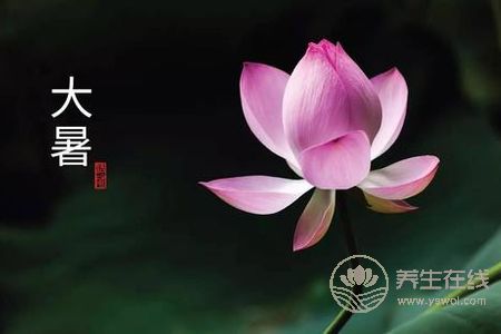 大暑預(yù)防哪些疾病發(fā)生?