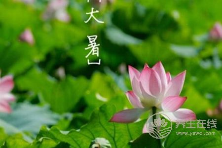 2019大暑是幾月幾日?2019年大暑是哪一天?