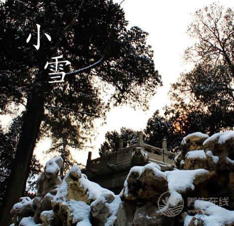 細數小雪節氣養生藥膳