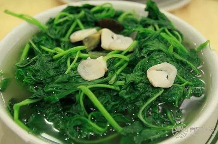 夏季四款美味上湯蔬菜 全力對抗高溫烤驗