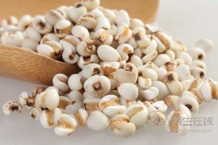 大暑細節有哪些?大暑有哪些養生方法?