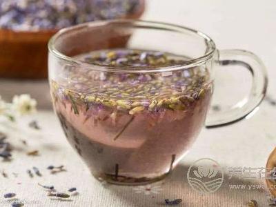 大暑女人喝什么茶養生好?大暑有哪些養生茶?