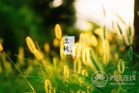 立秋節氣吃什么?立秋短信祝福語有哪些?