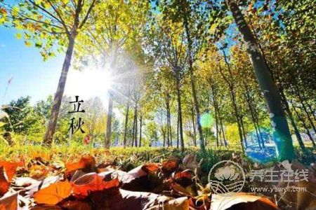 立秋由來是什么?立秋立秋養生食譜有哪些?