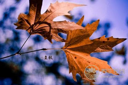 立秋節氣吃什么?立秋短信祝福語有哪些?