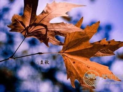 2019年立秋幾點幾分?立秋有哪些節氣習俗?