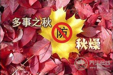 處暑如何防秋燥?處暑防秋燥食物有哪些?