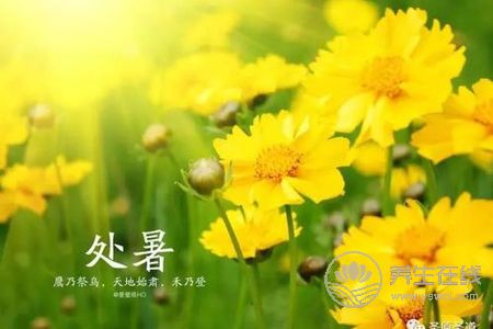 2019年處暑是幾月幾日?處暑的由來是什么?