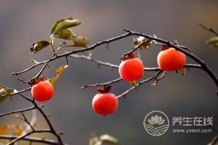 秋分吃什么水果?秋分養(yǎng)生的食療方有哪些?