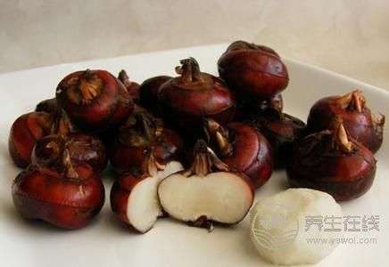 秋分吃什么傳統(tǒng)食物?秋分養(yǎng)生的注意事項(xiàng)有哪些?