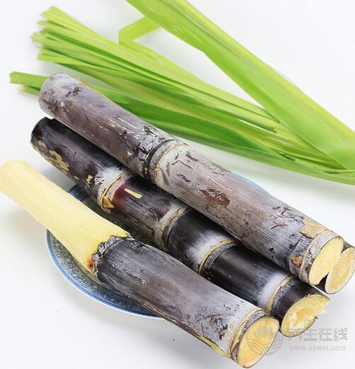 秋分進補離不開四大“寶”