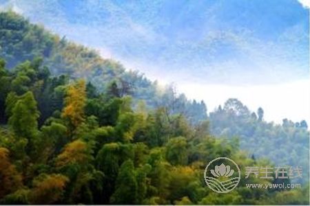 寒露節氣預防哪些疾病?寒露節氣預防疾病方法是什么?