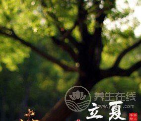 立夏有哪些習俗 立夏吃了蛋熱天不疰夏-易網<a href=http://www.weilaijie.cn/ target=_blank class=infotextkey>健康養生</a>網 立夏有哪些習俗 立夏吃了蛋熱天不疰夏