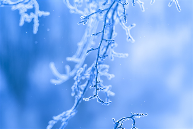 12月應(yīng)季的水果蔬菜有哪些？12月養(yǎng)生你要知道這些