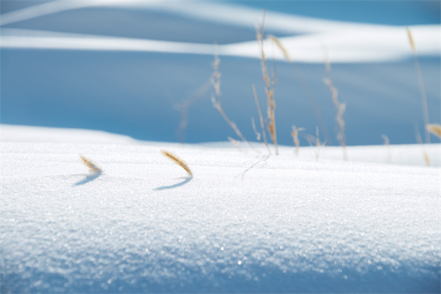 下雪天出門怎么防寒？防寒保暖這幾招就夠了