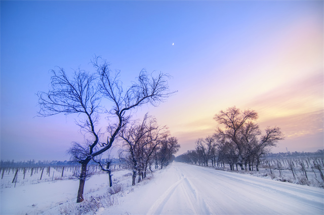 下雪天出門怎么防寒？防寒保暖這幾招就夠了