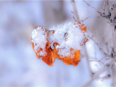 下雪天會被曬黑嗎？下雪也要注意防曬