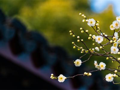 立春后天氣還會不會冷？立春后這樣養生比較好