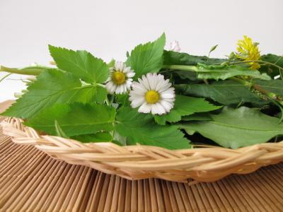 春季最值得吃的幾種野菜，錯過就只能再等一年