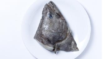 冬季吃什么海魚好?5魚可吃-易網<a href=http://www.weilaijie.cn/ target=_blank class=infotextkey>健康養生</a>網 冬季吃什么海魚好?5魚可吃