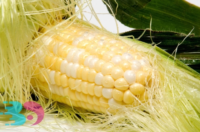 孕婦吃玉米須的功效與作用及禁忌，為了腹中胎兒，飲食也不能太過肆意妄為