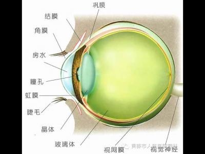 眼科科普，關(guān)于青光眼那些事兒