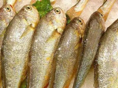 五種營養(yǎng)素讓孩子遠(yuǎn)離近視眼