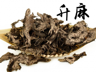 升麻的功效與作用及禁忌-用量