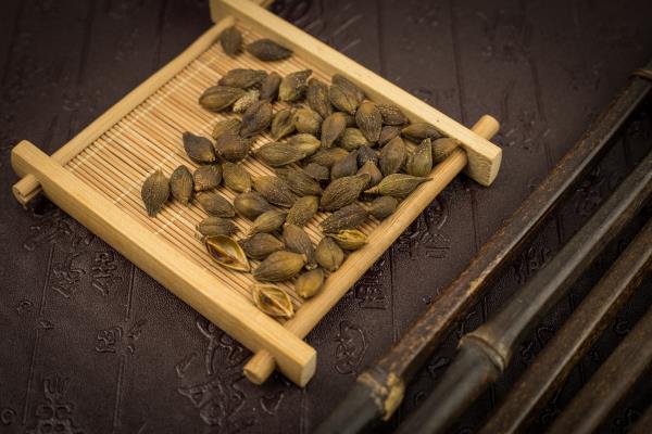 蒼耳草可以治什么病【6種最好的偏方】痢疾風濕鼻炎腸胃炎