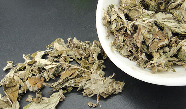 治療膝關節炎的偏方？治膝蓋痛絕密中藥方