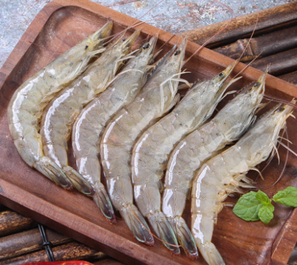 豆角和豆腐能一起吃嗎 蝦和豆角可以一起吃嗎-易網(wǎng)健康<a href=http://www.weilaijie.cn/jkys/ target=_blank class=infotextkey>養(yǎng)生</a>網(wǎng) 豆角和豆腐能一起吃嗎 蝦和豆角可以一起吃嗎
